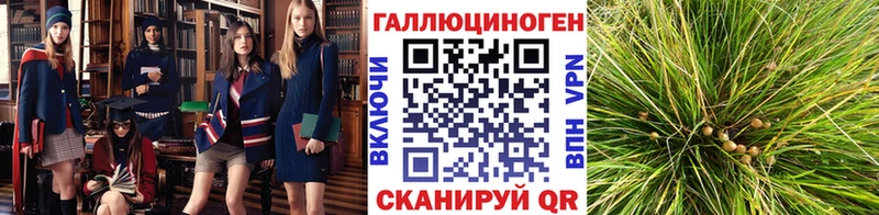 blacksprut как зайти  даркнет сайт  Серафимович  Галлюциногенные грибы ЛСД 